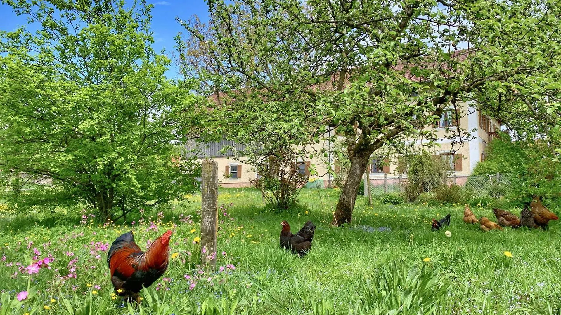Villa Bauernhof Geigerhof Aschau im Chiemgau